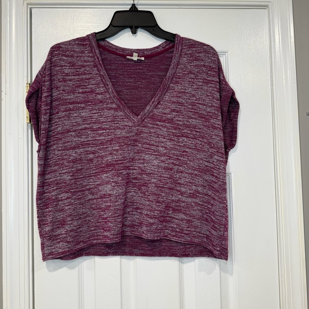 Aritzia Wilfred Free Brosh Purple Space Dye Boxy Short Sleeve Shirt XS Tee